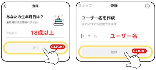 TikTok Lite 生年月日とユーザー名
